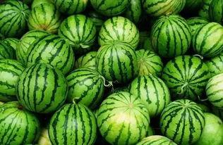 周丽珊吃瓜群,揭秘娱乐圈幕后故事