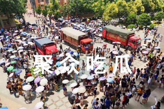 吃瓜网站学校,吃瓜网站带你领略校园生活百态