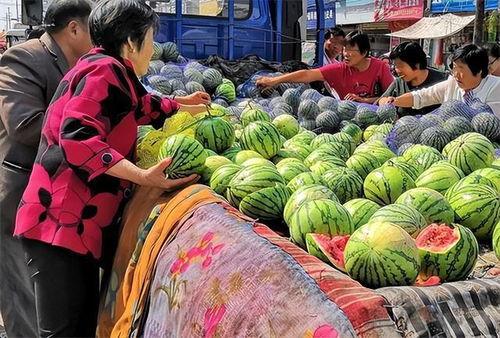 自由基地吃瓜,揭秘吃瓜群众的狂欢盛宴
