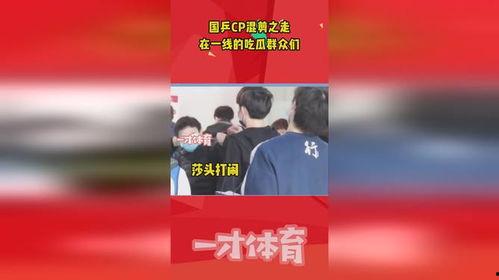 国乒队吃瓜群众对决图片,一场欢乐的内部较量