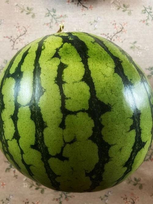 给大家表演吃瓜