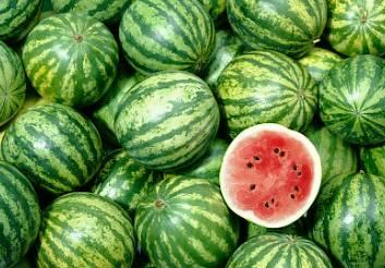 深圳代驾吃瓜,一场吃瓜群众的狂欢盛宴