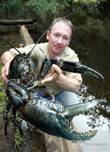 暗吃瓜奇闻异事,揭秘暗吃瓜奇闻异事背后的真相