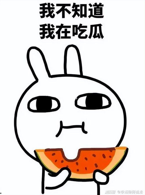 吃瓜奸笑完整版,网络热词背后的趣味与争议