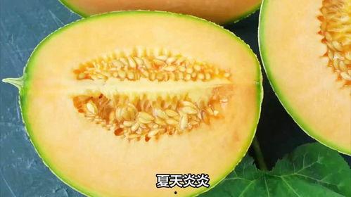 哈密瓜可以过夜吃,美味与健康的完美结合