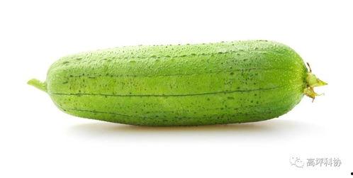 吃瓜种子的视频大全,趣味横生的瓜界盛宴