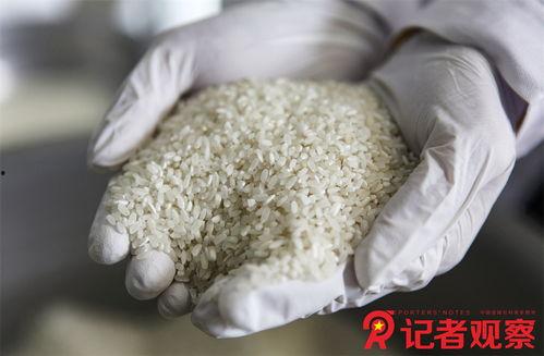 李大米吃瓜,揭秘娱乐圈幕后真相