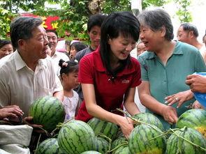 瓜农和吃瓜群众