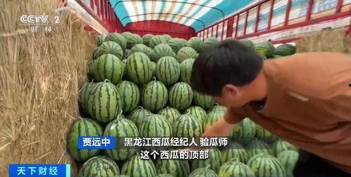 rainbow吃瓜,揭秘娱乐圈的甜蜜与苦涩