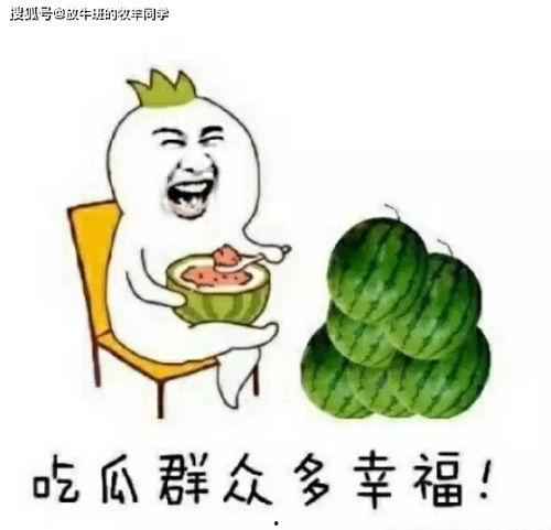 吃瓜住房,揭秘城市生活压力下的安居之道