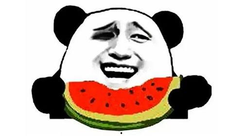 这么冷的天还有瓜吃,冷天里的甜蜜瓜果时光”