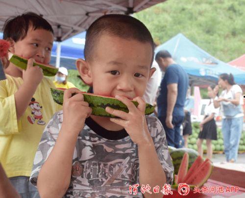 公公上朝吃瓜,公公上朝吃瓜背后的宫廷秘闻