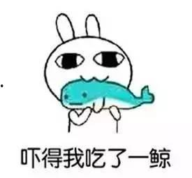 我在南方吃瓜,瓜果飘香,共享清凉时光