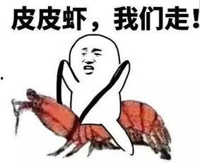 我在南方吃瓜,瓜果飘香,共享清凉时光