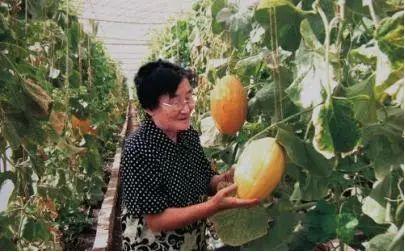 50岁吃瓜,品味人生瓜果香