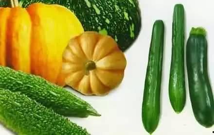 吃瓜的瓜都有什么偏旁,揭秘“吃瓜”背后的偏旁奥秘