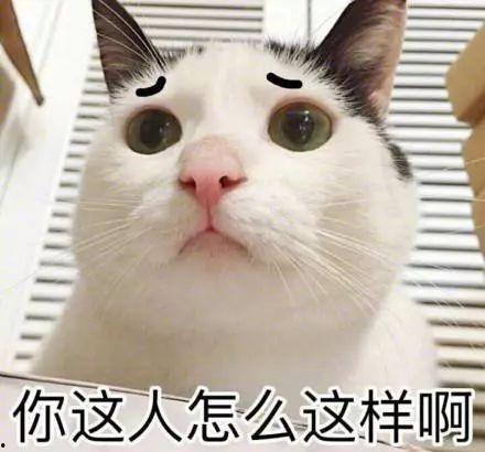 猫猫吃瓜会被听到txt,萌态十足引网友热议