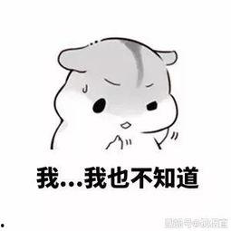 吃瓜211,一场网络热点的狂欢与反思