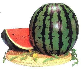 土耳其吃瓜,瓜果飘香,品味异域风情