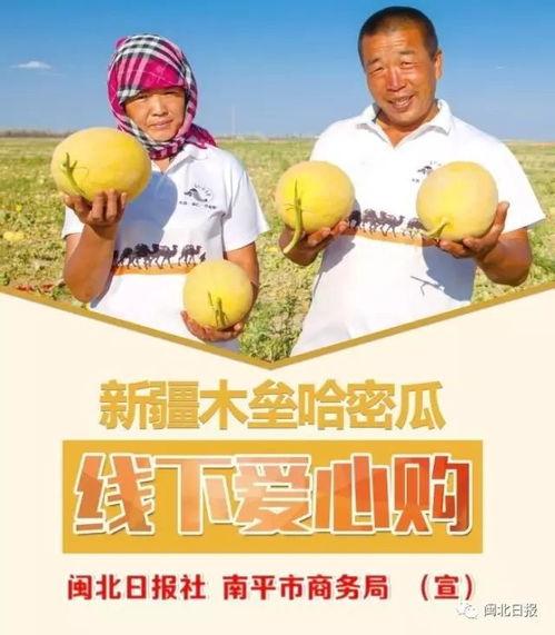 瓜瓜吃瓜活动设计点评