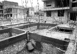 陇南的吃瓜事件始末,一场网络舆论的风波与反思