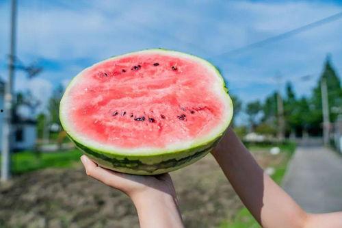 吃瓜特助,网络红人的崛起与影响力